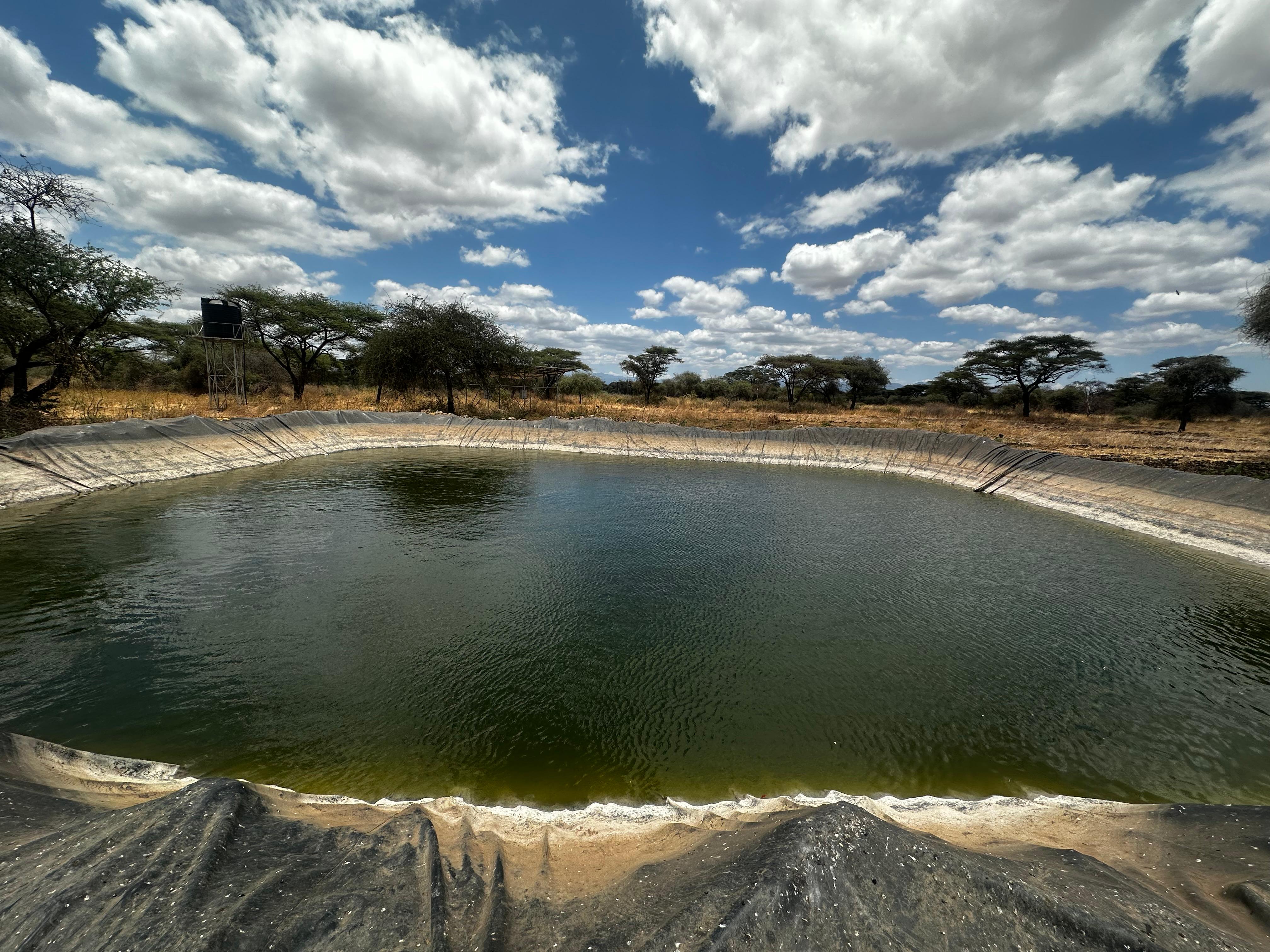 Hafray Limited: Transforming Beef Production in Isiolo