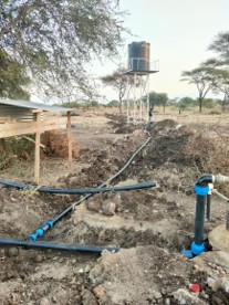 Traceability & Data Systems