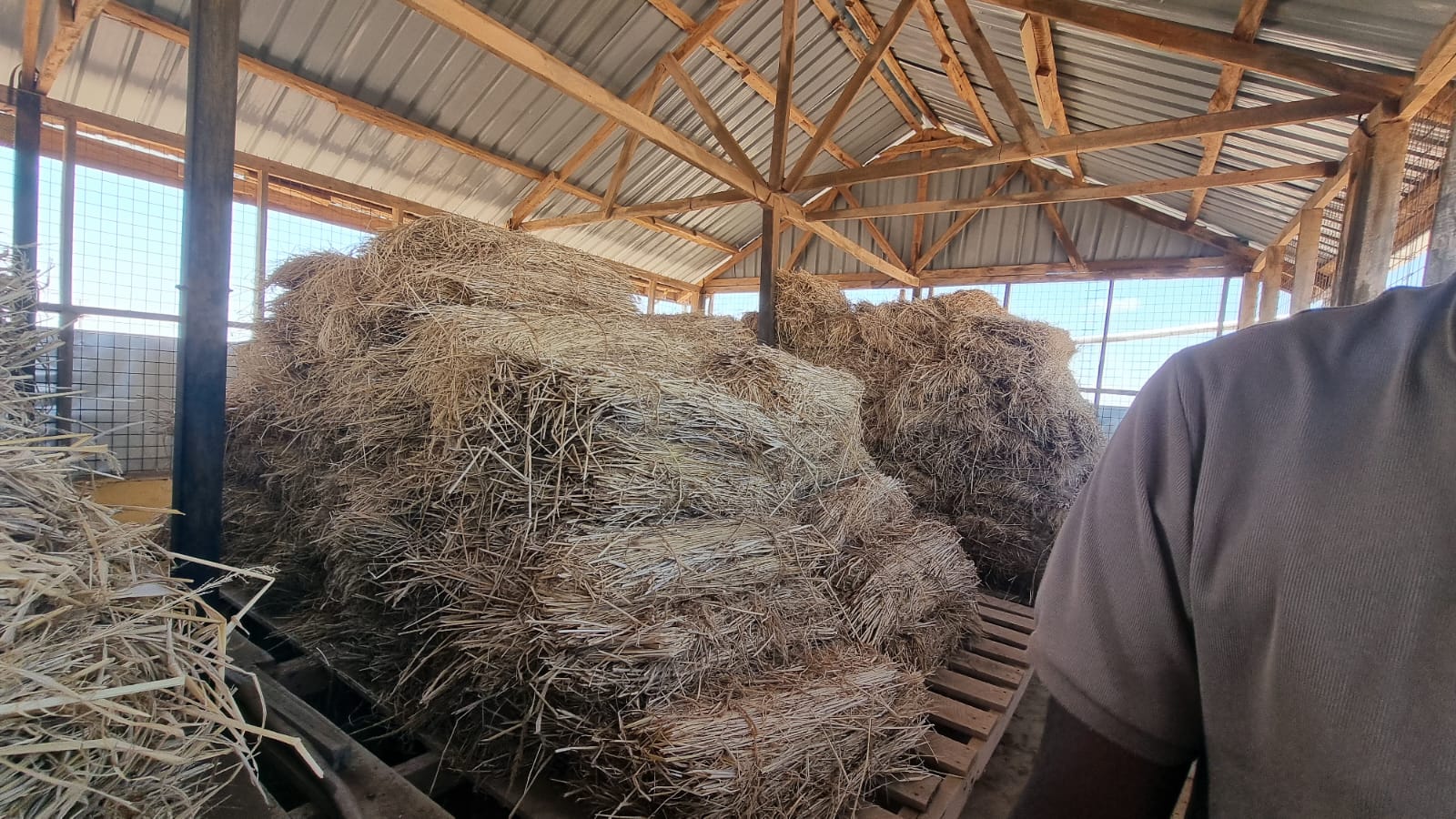 Fodder & Silage Production