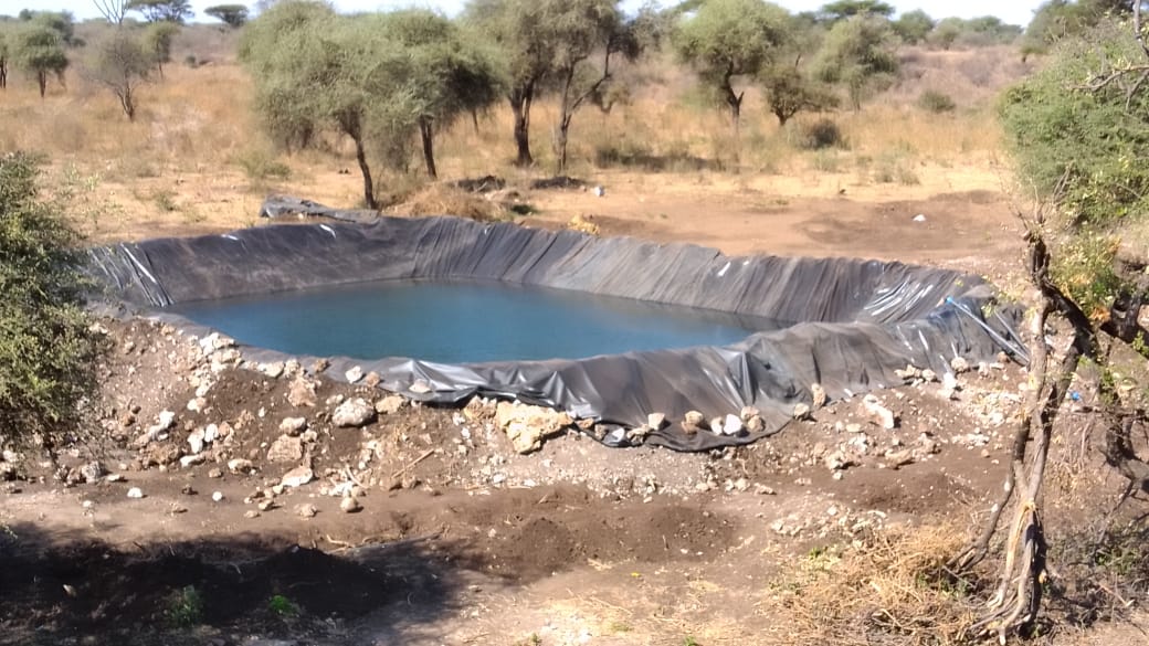 WhatsApp Image 2026-03-08 at 6.49.05 PM