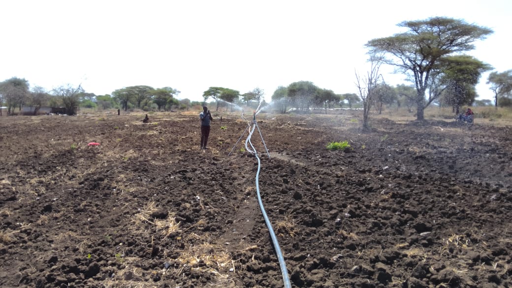 WhatsApp Image 2026-03-08 at 6.49.06 PM (2)