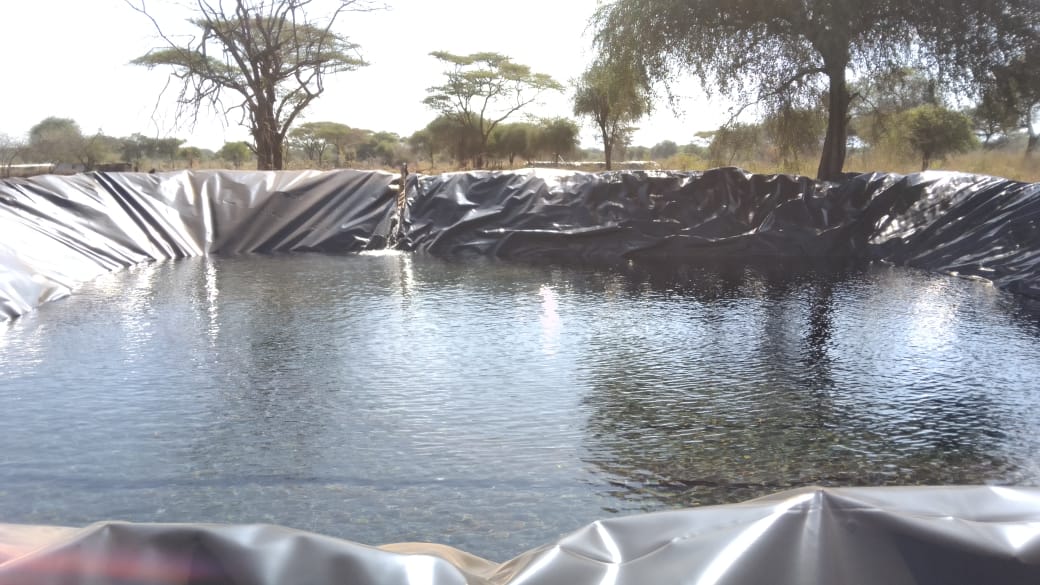 WhatsApp Image 2026-03-08 at 6.49.06 PM (1)