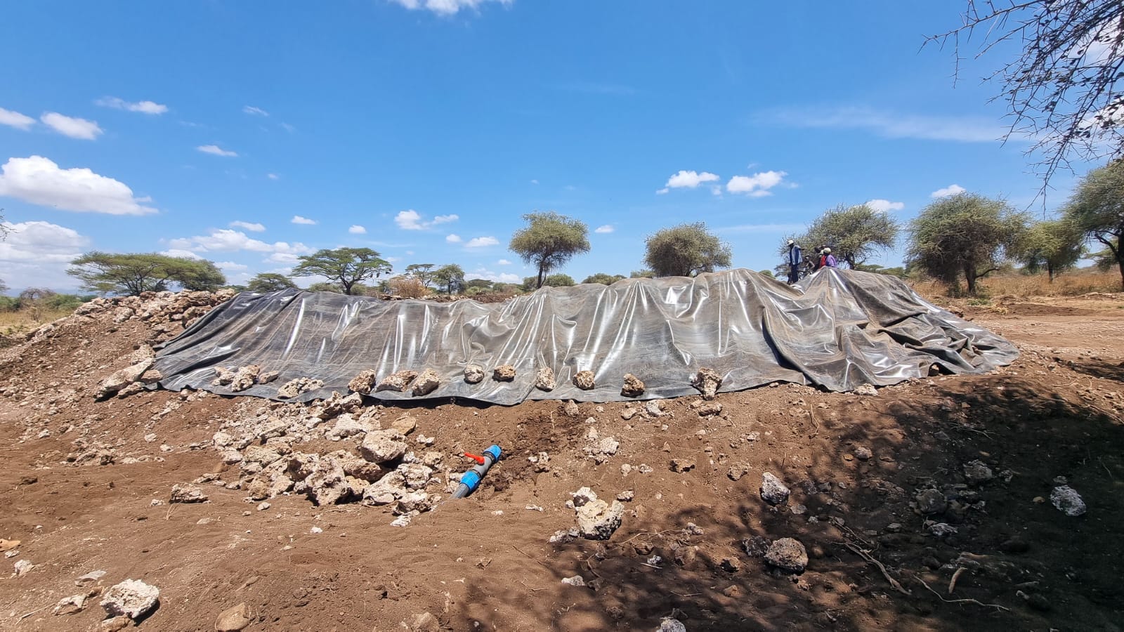 WhatsApp Image 2026-03-08 at 6.44.27 PM