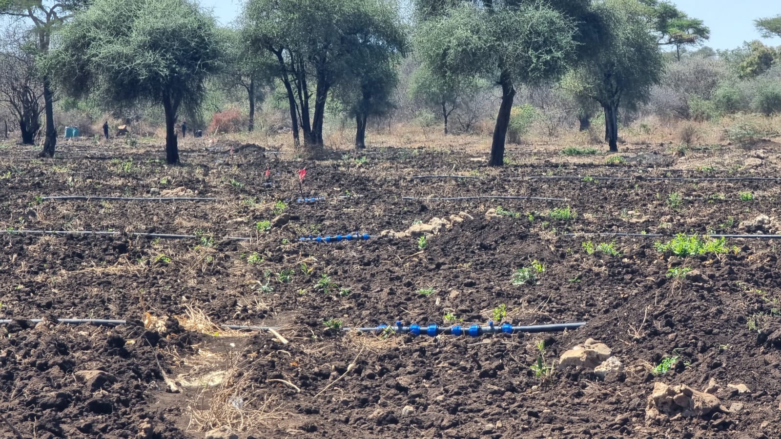 WhatsApp Image 2026-03-08 at 6.44.25 PM (1)