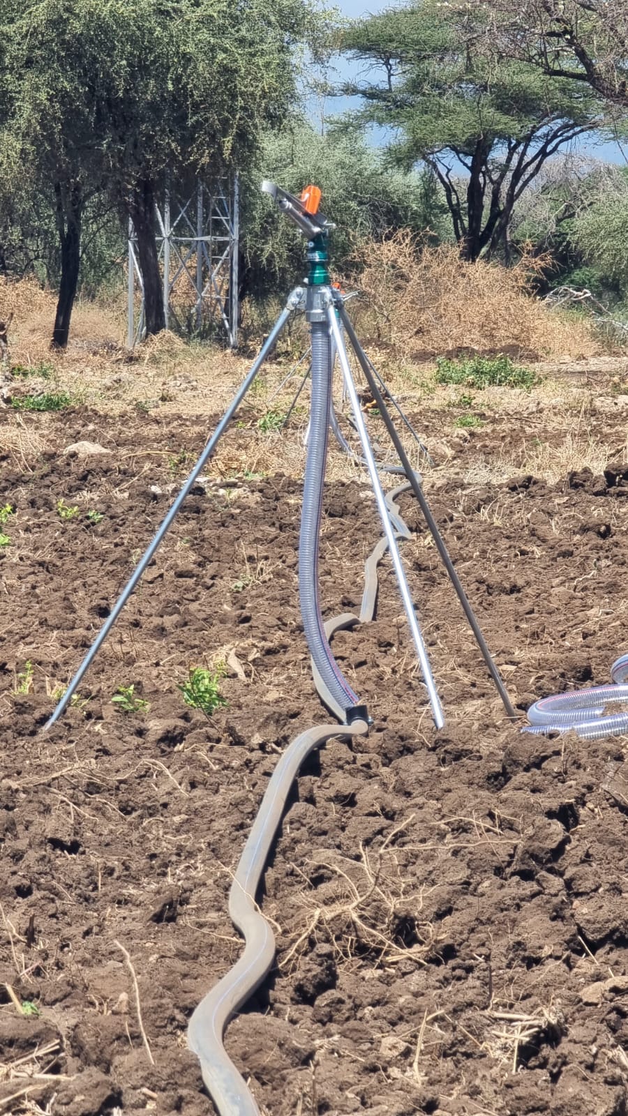 WhatsApp Image 2026-03-08 at 6.44.24 PM (1)