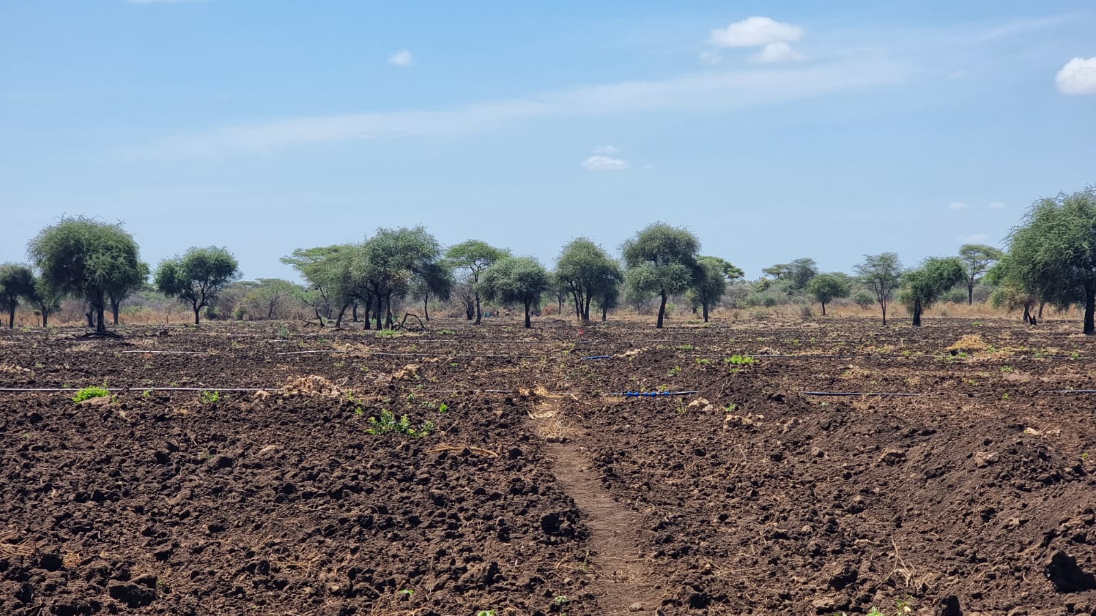 WhatsApp Image 2026-03-08 at 6.44.24 PM