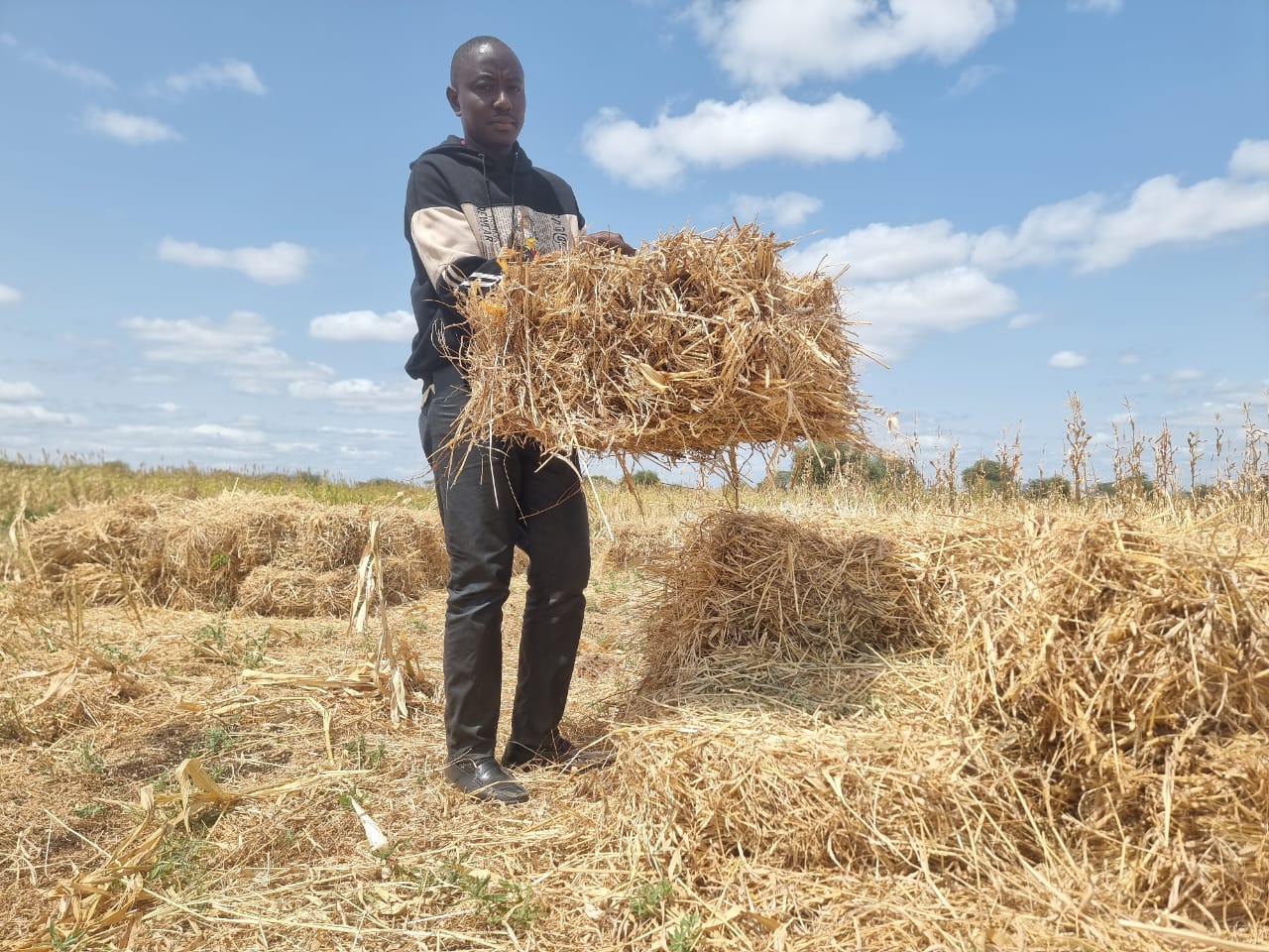 WhatsApp Image 2026-03-08 at 6.43.23 PM