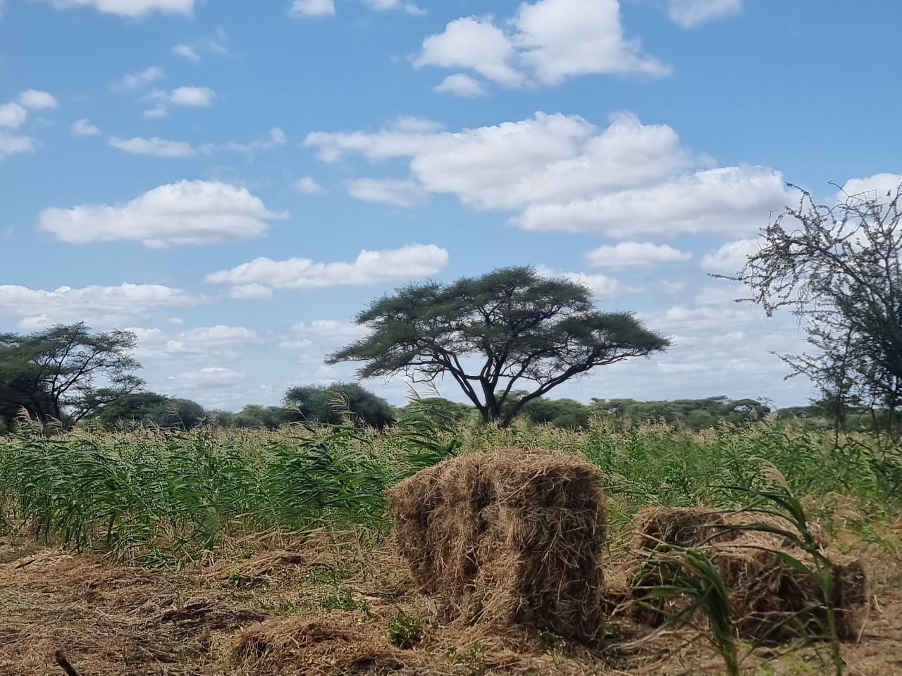 WhatsApp Image 2026-03-08 at 6.43.24 PM (2)