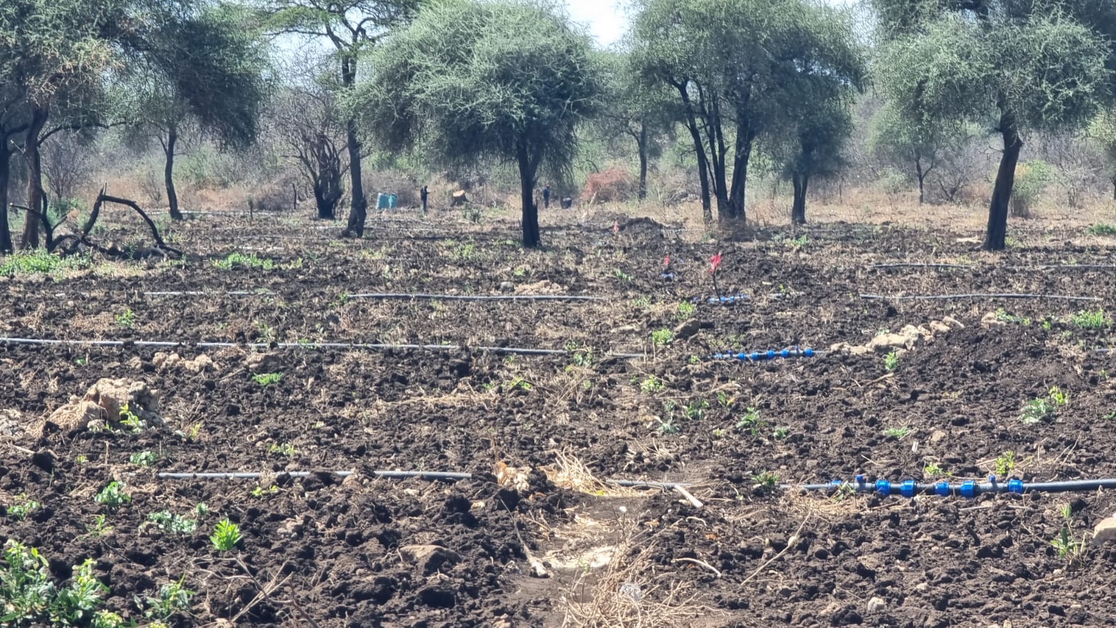 WhatsApp Image 2026-03-08 at 6.44.25 PM (2)