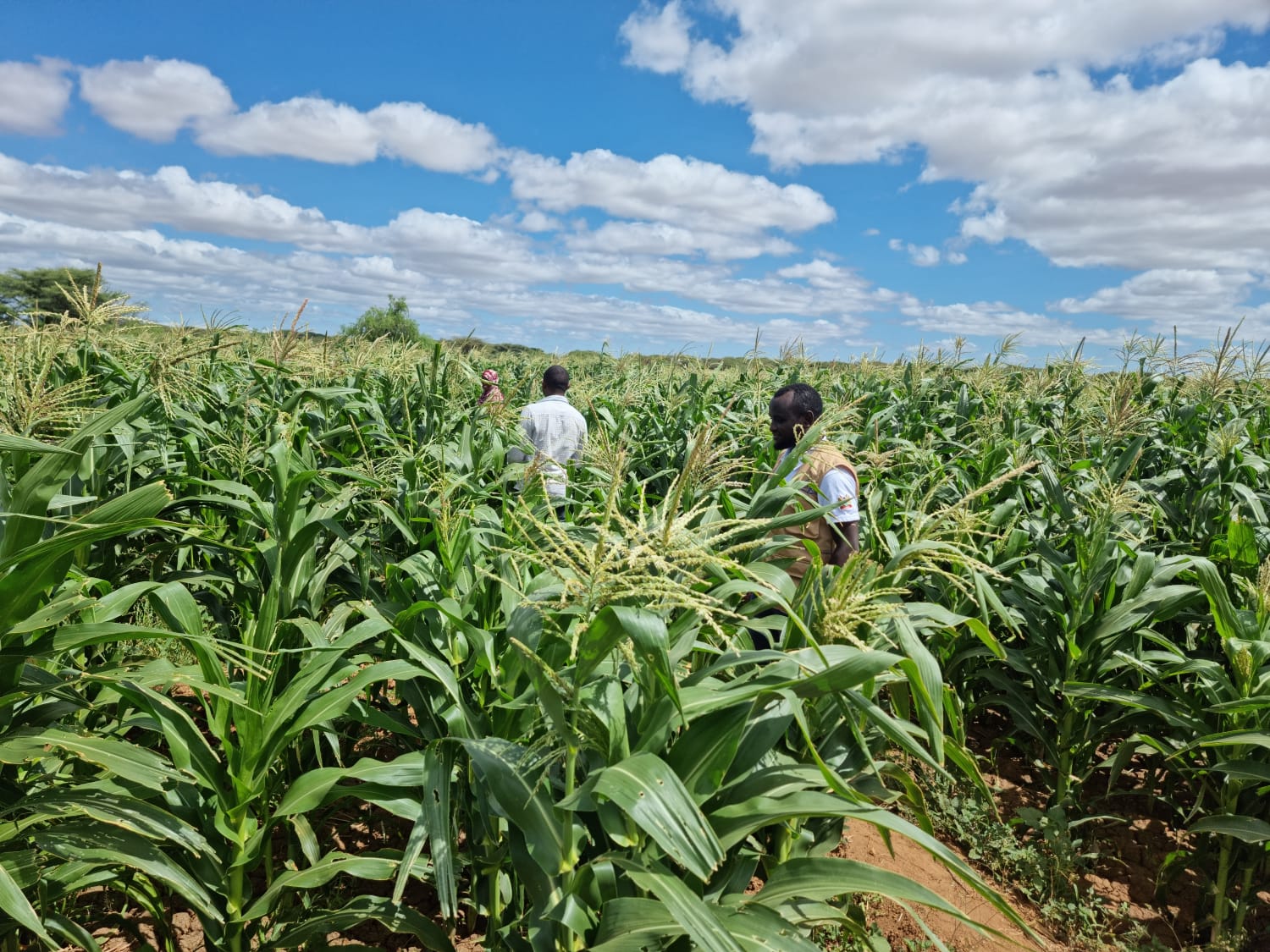 WhatsApp Image 2026-03-08 at 6.46.29 PM (1)